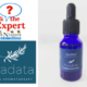 Ask the Expert: Cajeput Essential Oil – a Traditional Remedy for Rheumatism