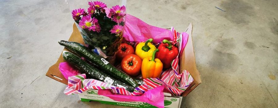 Order Your Veggie Box Online at Greengrow Greenhouses in Fenwick