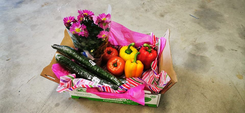 Order Your Veggie Box Online at Greengrow Greenhouses in Fenwick