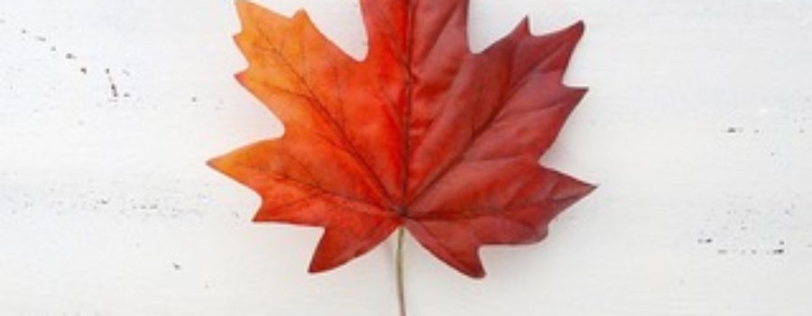 Happy Canada Day from Salon Allegra
