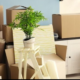 Urge To Purge Inc. –  Your Local Decluttering, Cleaning and Staging Experts