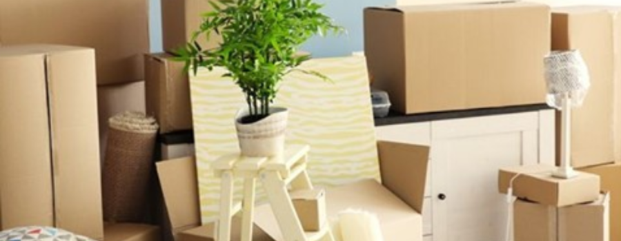 Urge To Purge Inc. –  Your Local Decluttering, Cleaning and Staging Experts