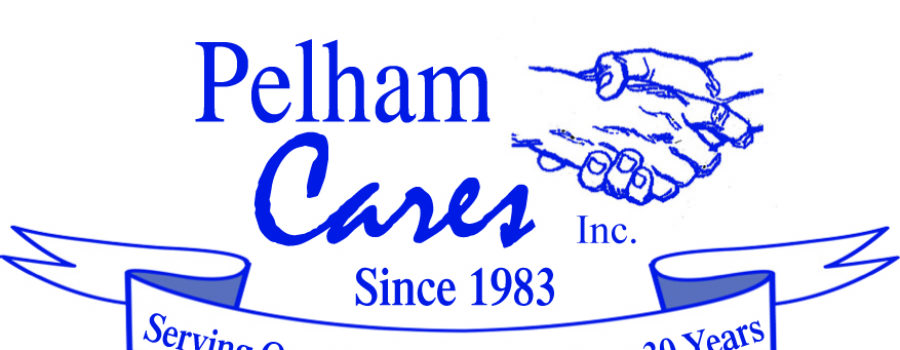 Pelham Cares 2020 at a Glance