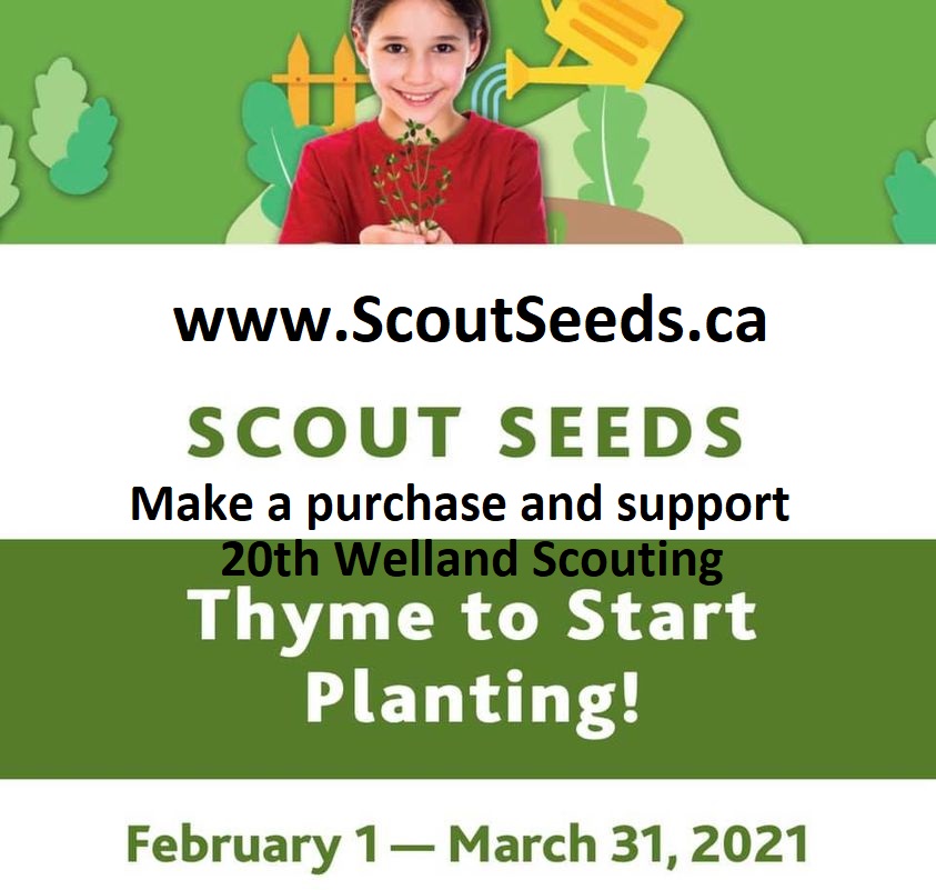 20th Welland Scouts Canada: Scoutseeds
