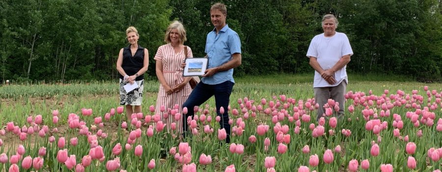 U-PIck Tulip Farm the latest recipient of the Beautification Committee’s Thank You campaign