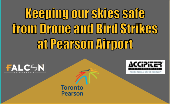 Keeping our Skies Safe from Drone and Bird Strikes at Pearson Airport