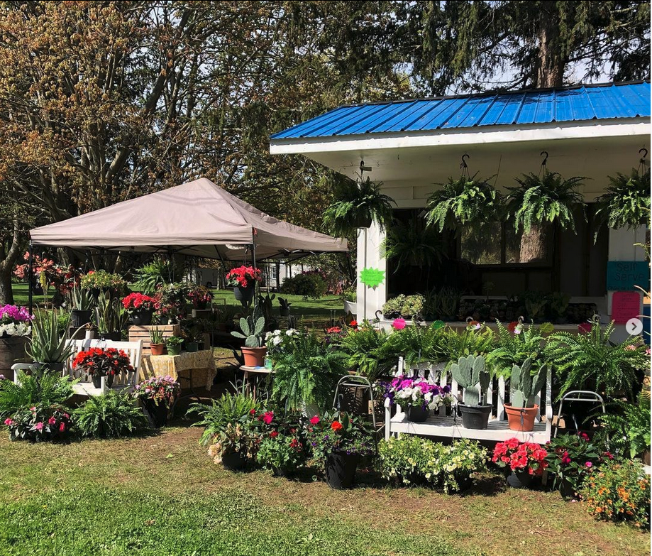 ‘The Fruitloop’ Plant Stand Now Open for the Season in New Location