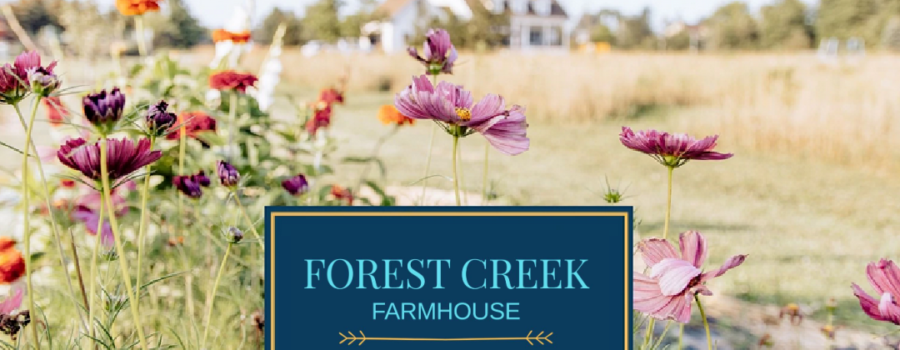 Forest Creek Farmhouse in Pelham – Canada’s Choice for High Quality Peony Roots