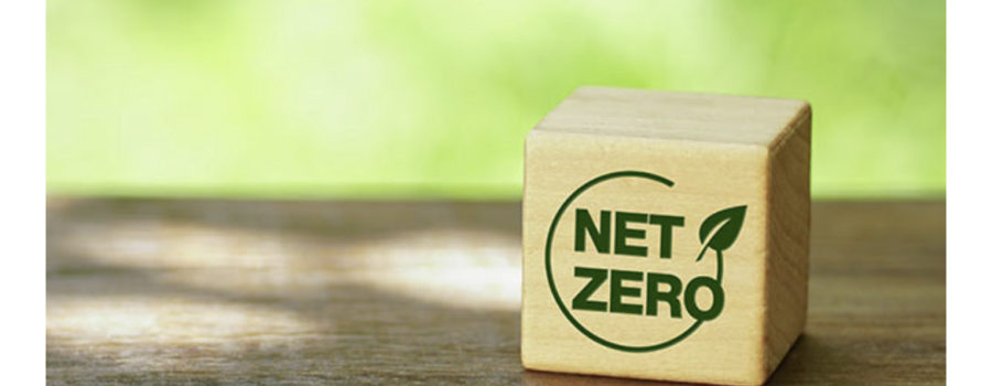 Launching the Net-Zero Challenge to recognize and support businesses transitioning to cleaner operations