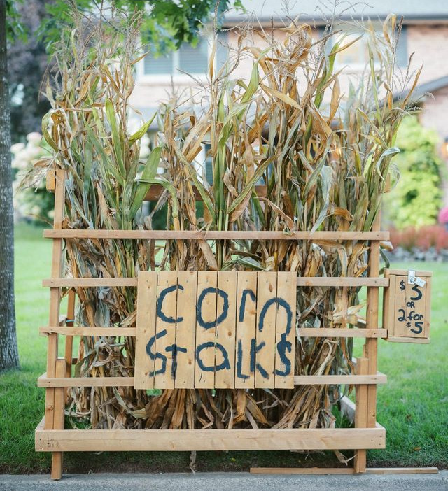 Support Entrepreneurs in Training! Local Kids Selling Corn Stalk Bundles for Fall Porch Decor