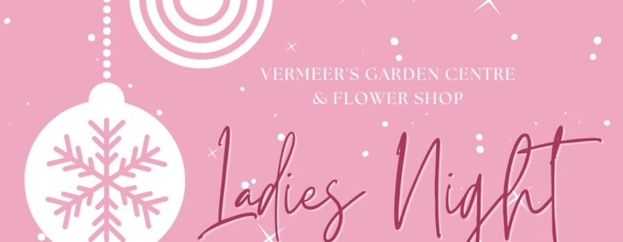 Ladies’ Night at Vermeer’s in Support of Wellspring Niagara