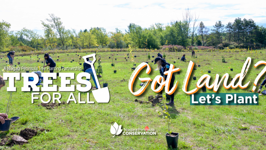 Trees For All – Got Land? Let’s Plant!