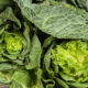 Sobeys Recipe Corner: Everything you need to know about dark leafy greens