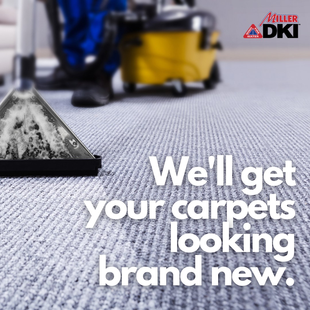 We’ll Get Your Carpets Looking Brand New!