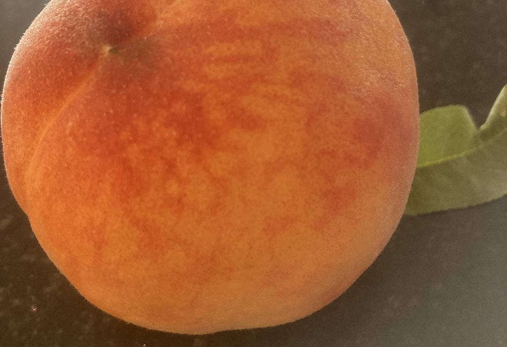 Certified Organic Peaches – Rumar Style