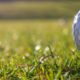 Register Now for the Rotary Golf Tournament