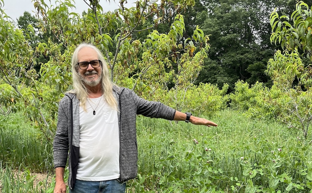 Unleashing the Power of Cover Crops: Organic Farming’s Secret Weapon