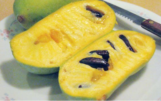 All About Pawpaw’s: Nature’s Hidden Gem for Fruit Lovers