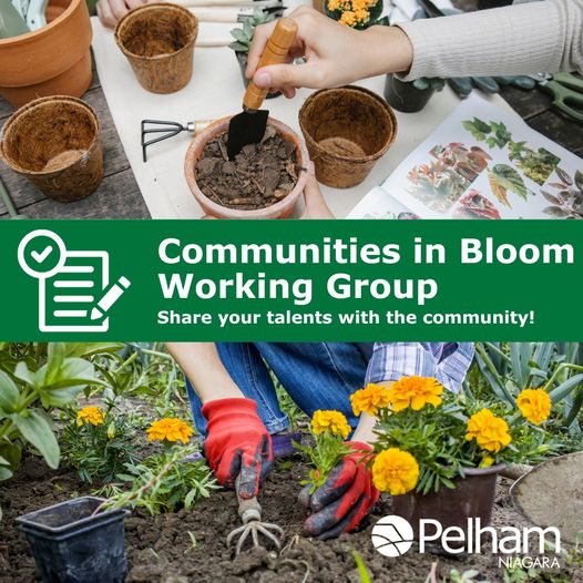Share your talents! Communities in Bloom