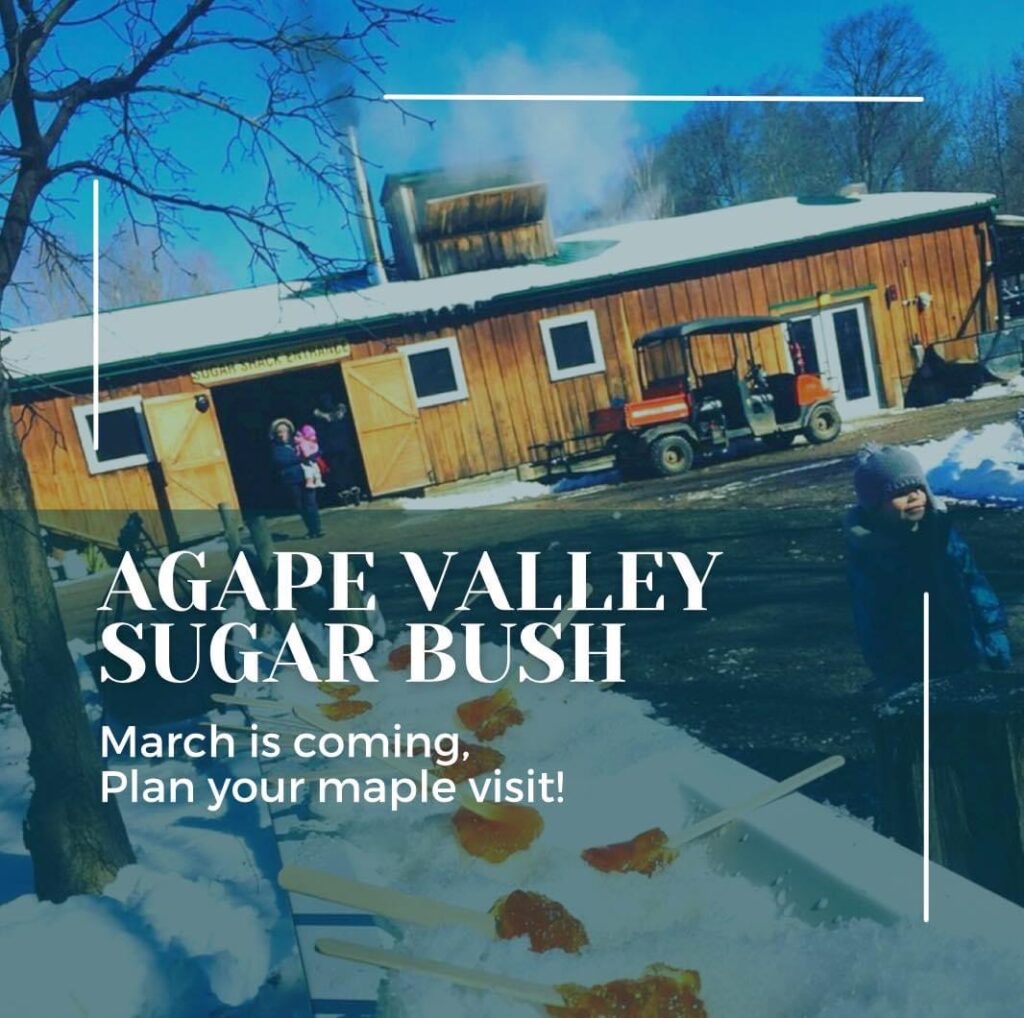 Agape Valley Sugar Bush – Plan Your Visit this Season