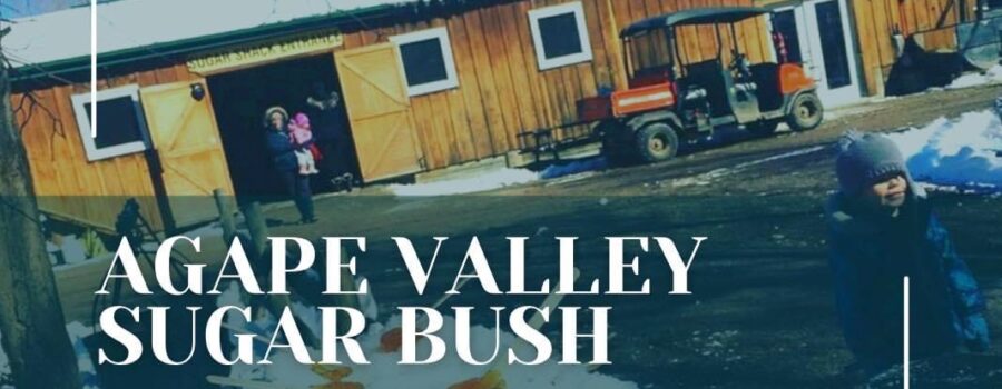 Agape Valley Sugar Bush – Plan Your Visit this Season