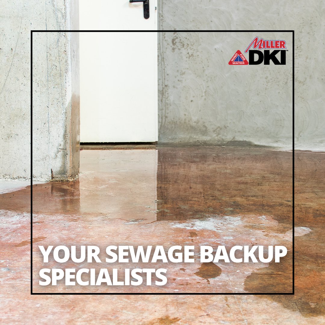 Ask The Experts: Cleaning Up After A Sewage Backup