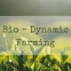 Rumar Farm Talks About Biodynamic Farming