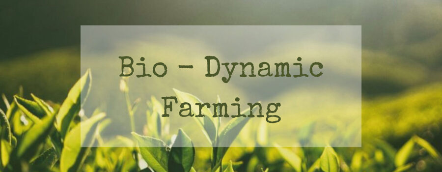 Rumar Farm Talks About Biodynamic Farming