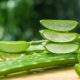 Aloe Vera Gel 101 – Uses, Benefits and Precautions
