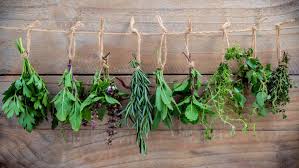Mastering the Art of Herb Drying: Simple Techniques for Preserving Freshness and Flavour