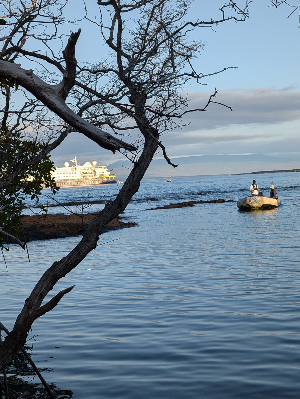 Exploring the Galápagos: My Adventure with Lindblad Expeditions on the Islander II