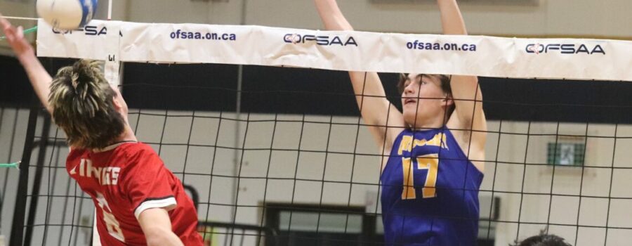 Cyclone work overtime at OFSAA