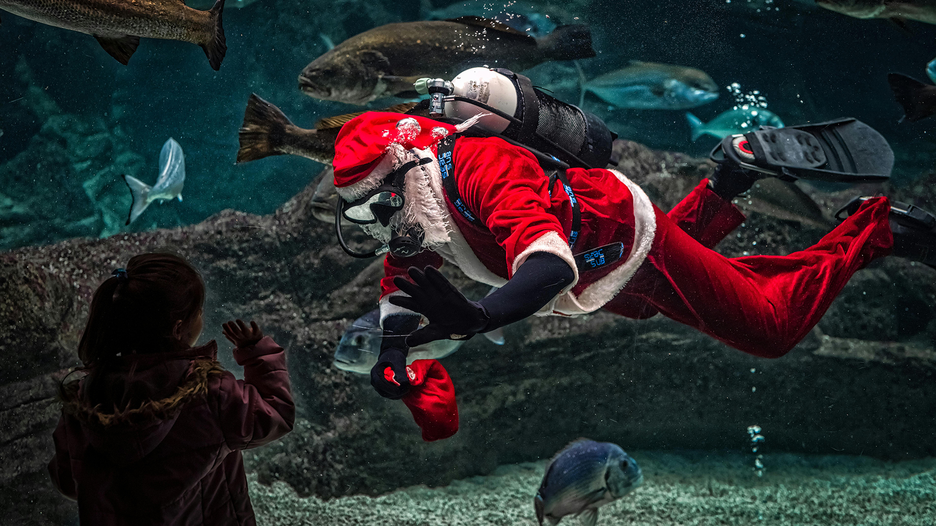 Exclusive Interview with Santa Claus: The Ultimate Travel Recommendations for 2025!