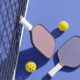 Intro To Pickleball For Christmas?