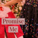 Local Author Releases “Promise Me” Novel