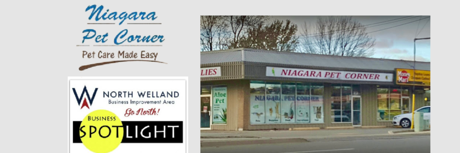 North Welland BIA Spotlight: Niagara Pet Corner