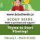 20th Welland Scouts Canada: Scoutseeds