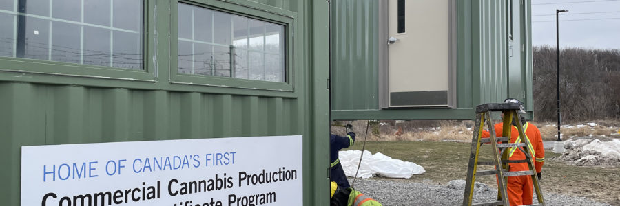 Niagara College builds new dedicated cannabis research facility