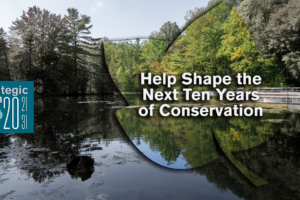 Help Shape the Next Ten Years of Conservation