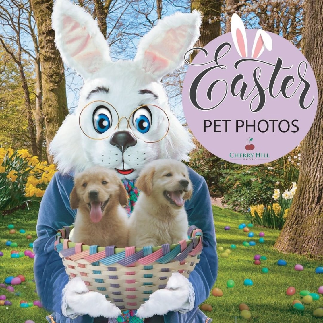 Enjoy Virtual Pet Photos this Easter with Seaway Mall!