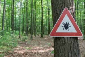Tick identification and protection – 2021