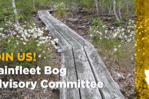 Wainfleet Bog Advisory Committee Applications