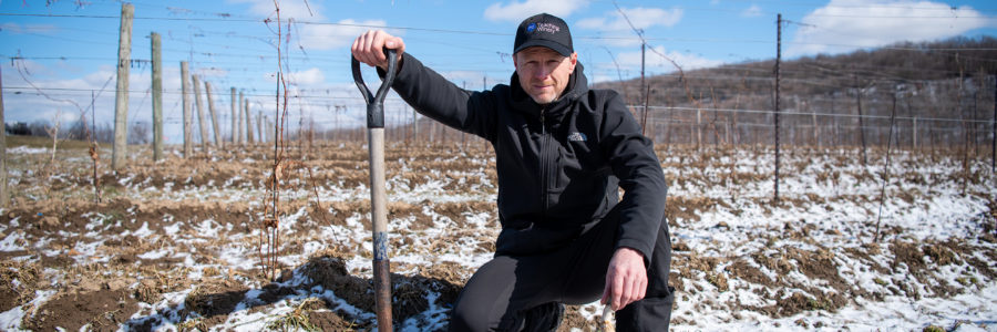 Niagara College reaps the harvest of sustainable wine growing with new certification