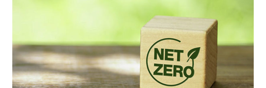 Launching the Net-Zero Challenge to recognize and support businesses transitioning to cleaner operations