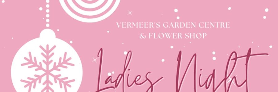 Ladies’ Night at Vermeer’s in Support of Wellspring Niagara