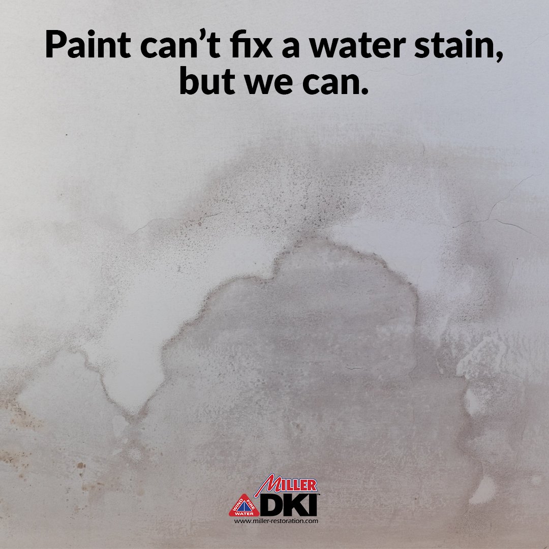 Paint Can’t Fix a Water Leak but We Can