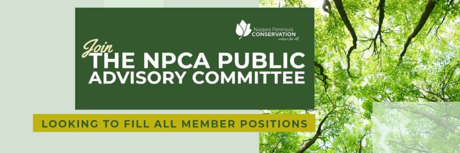 NPCA Recruiting Members For Public Advisory Committee