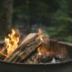 City of Welland implements fire ban effective immediately