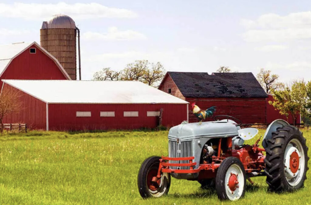 Ask the Experts at BCM – Farm Insurance: Protecting Your Agricultural Investments