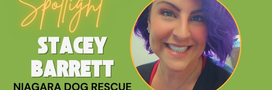 Truly Local Ambassador Spotlight: Stacey Barrett and Niagara Dog Rescue!